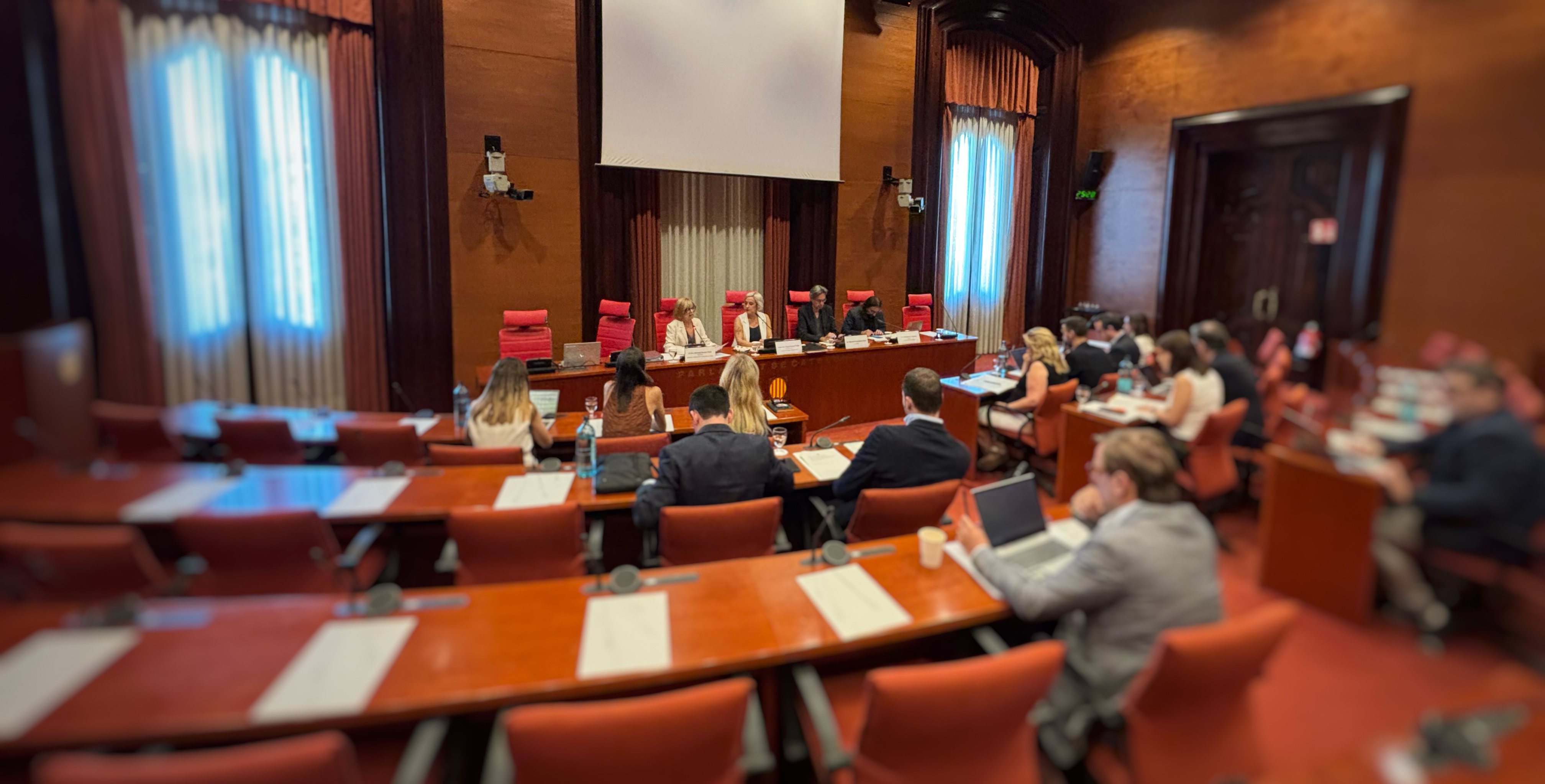 Compareixença Meritxell Borràs memòria 2024